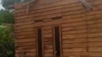 IMG-20251121-WA0115